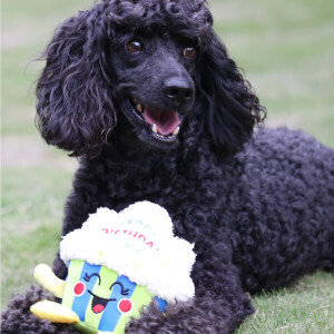 plush dog toys manufacturer product